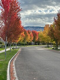 Very family friendly neighborhood.