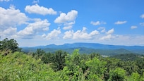View from patio