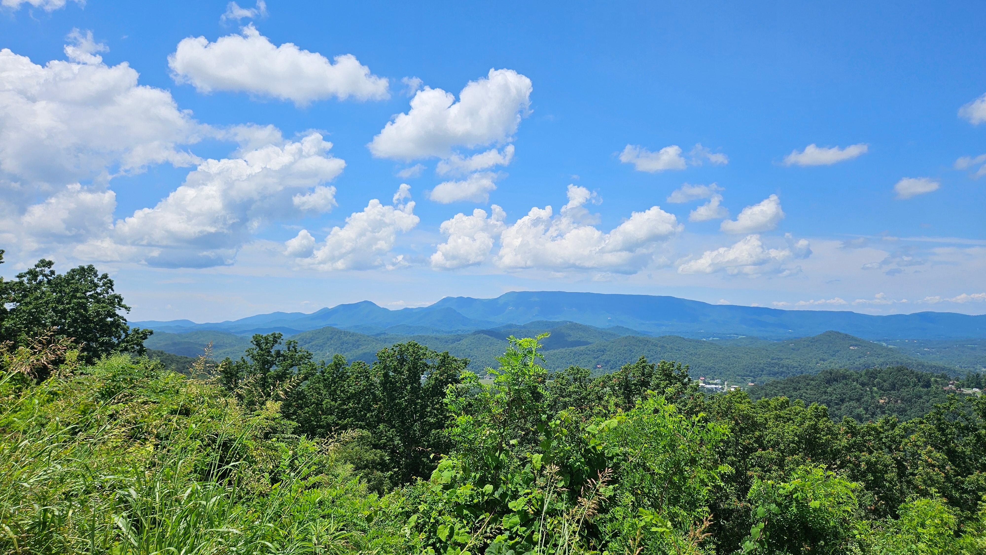 View from patio
