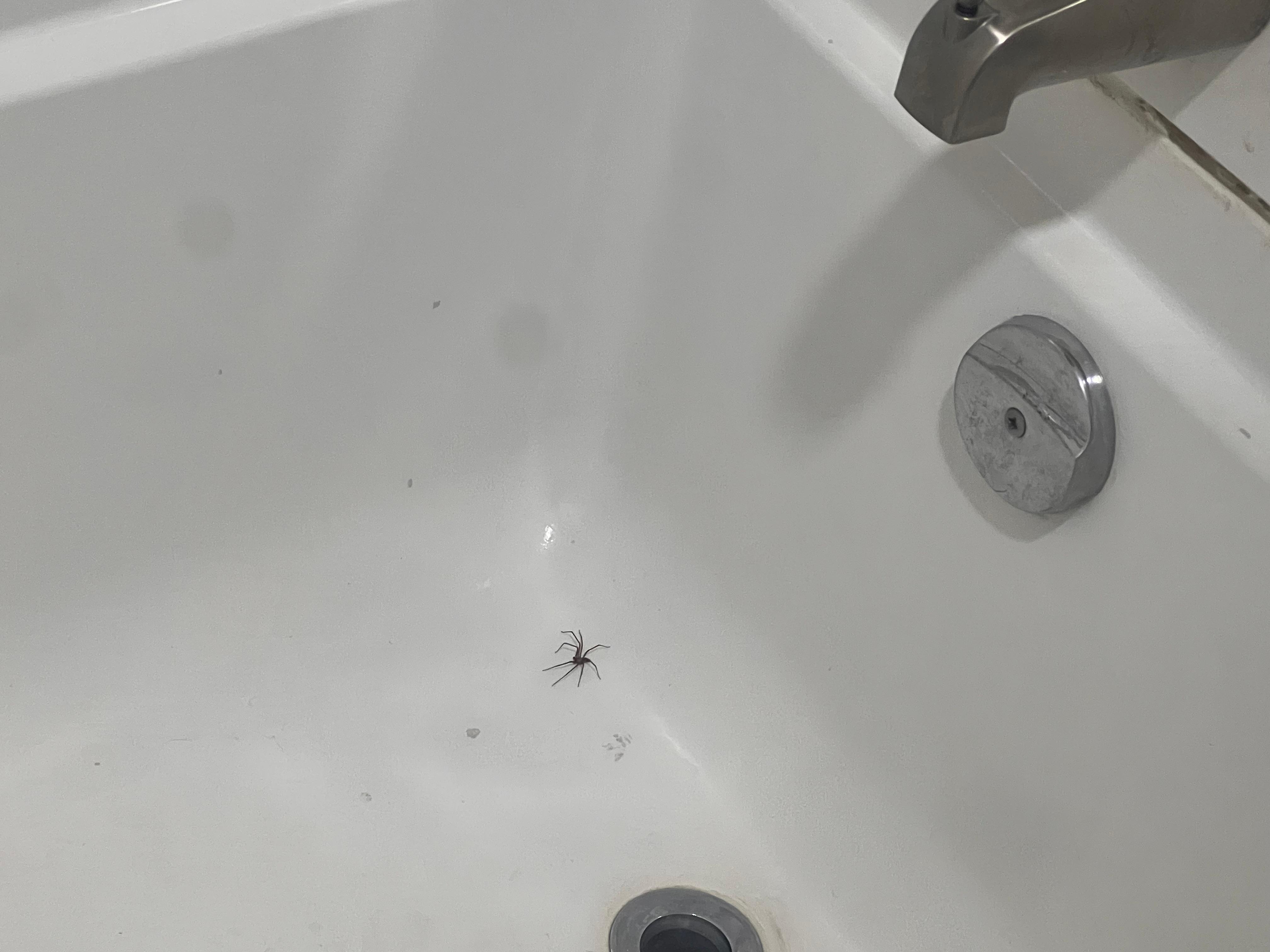 1 of 4 in the bathroom all night 