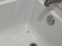 1 of 4 in the bathroom all night