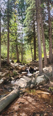 Maxwell Falls trail