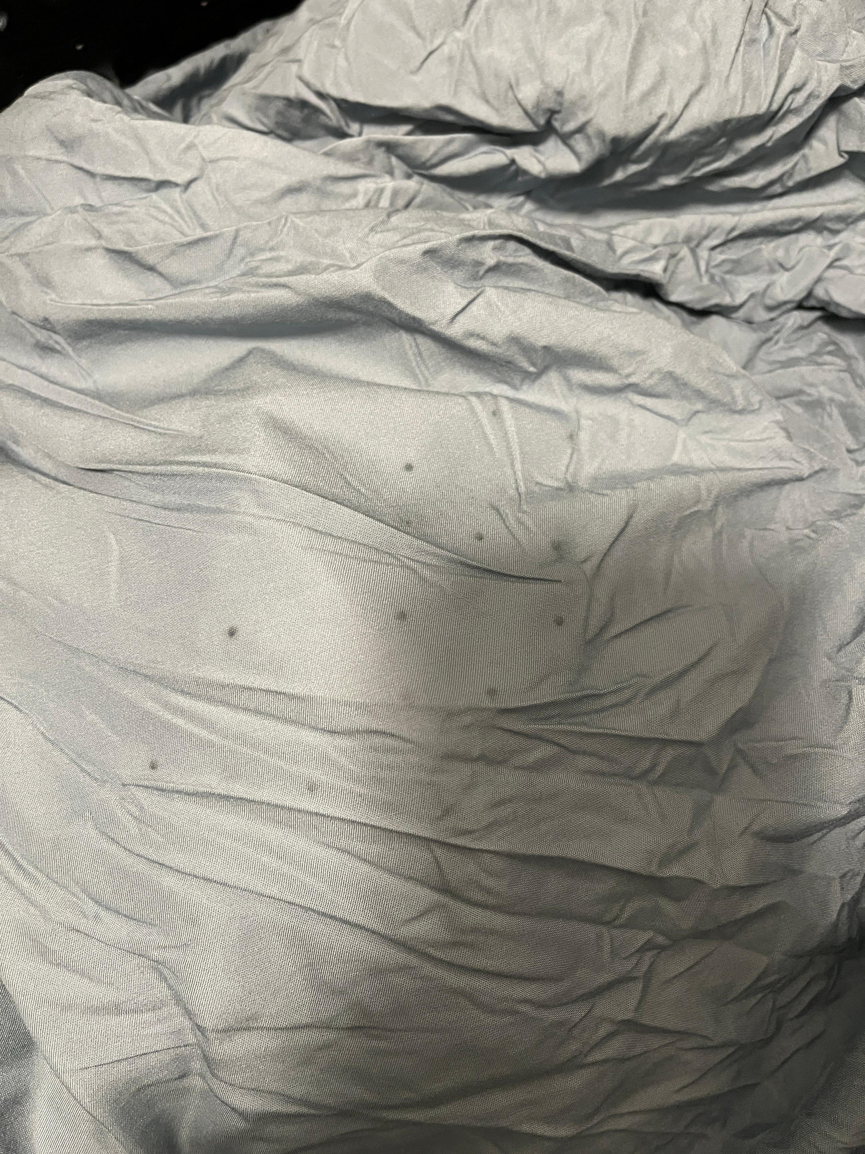 Moldy sheets in washer