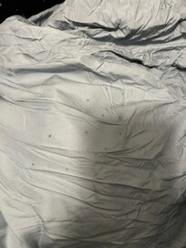 Moldy sheets in washer