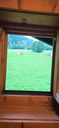 Blick aus einem Badfenster
