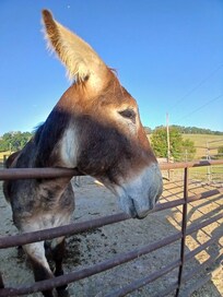 We called him Chester.