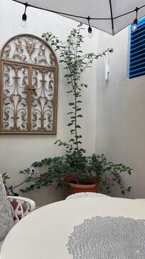 Área de jardín