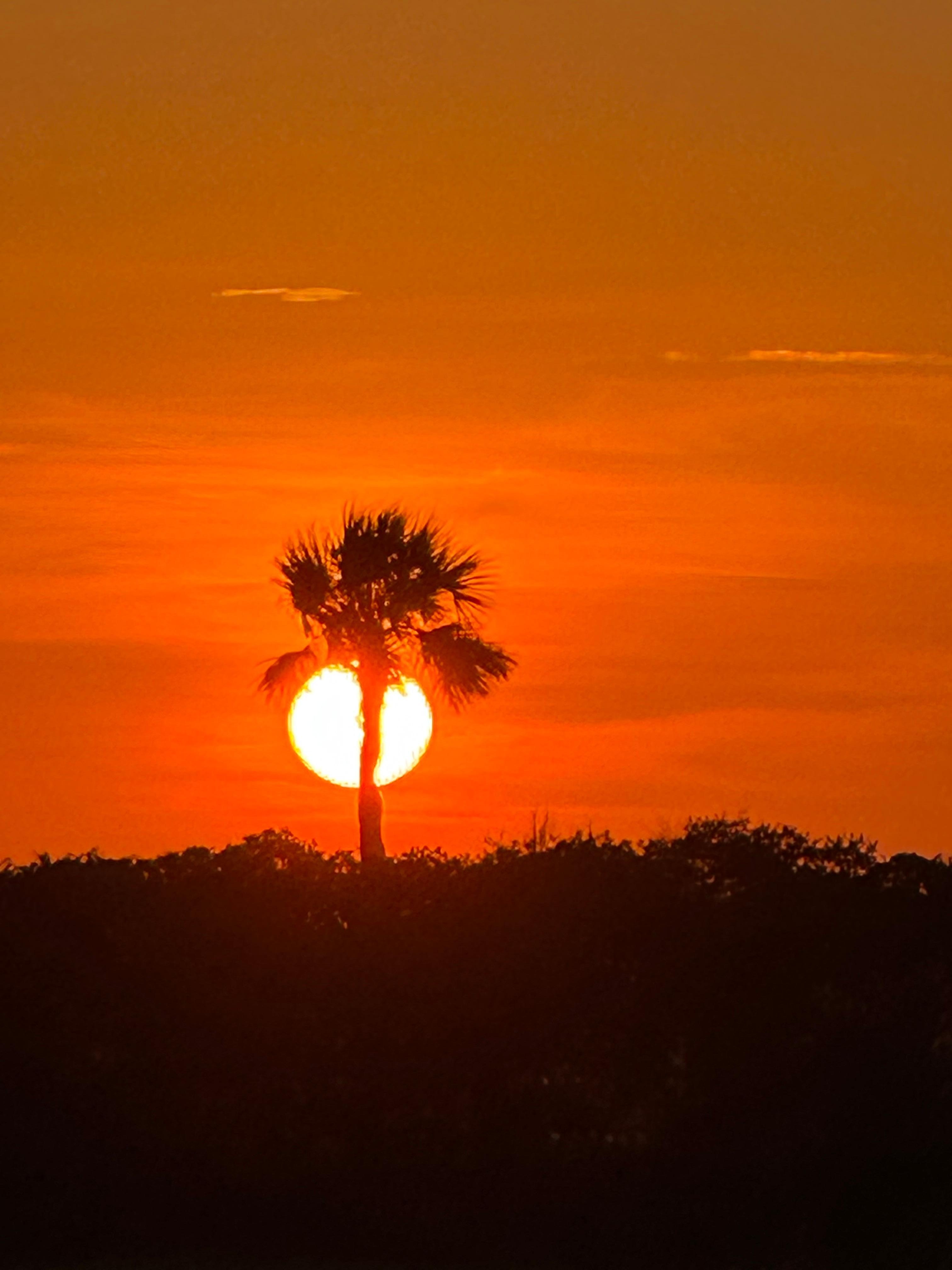 Sunset down the street