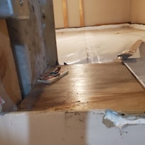 Mouse traps and dropping