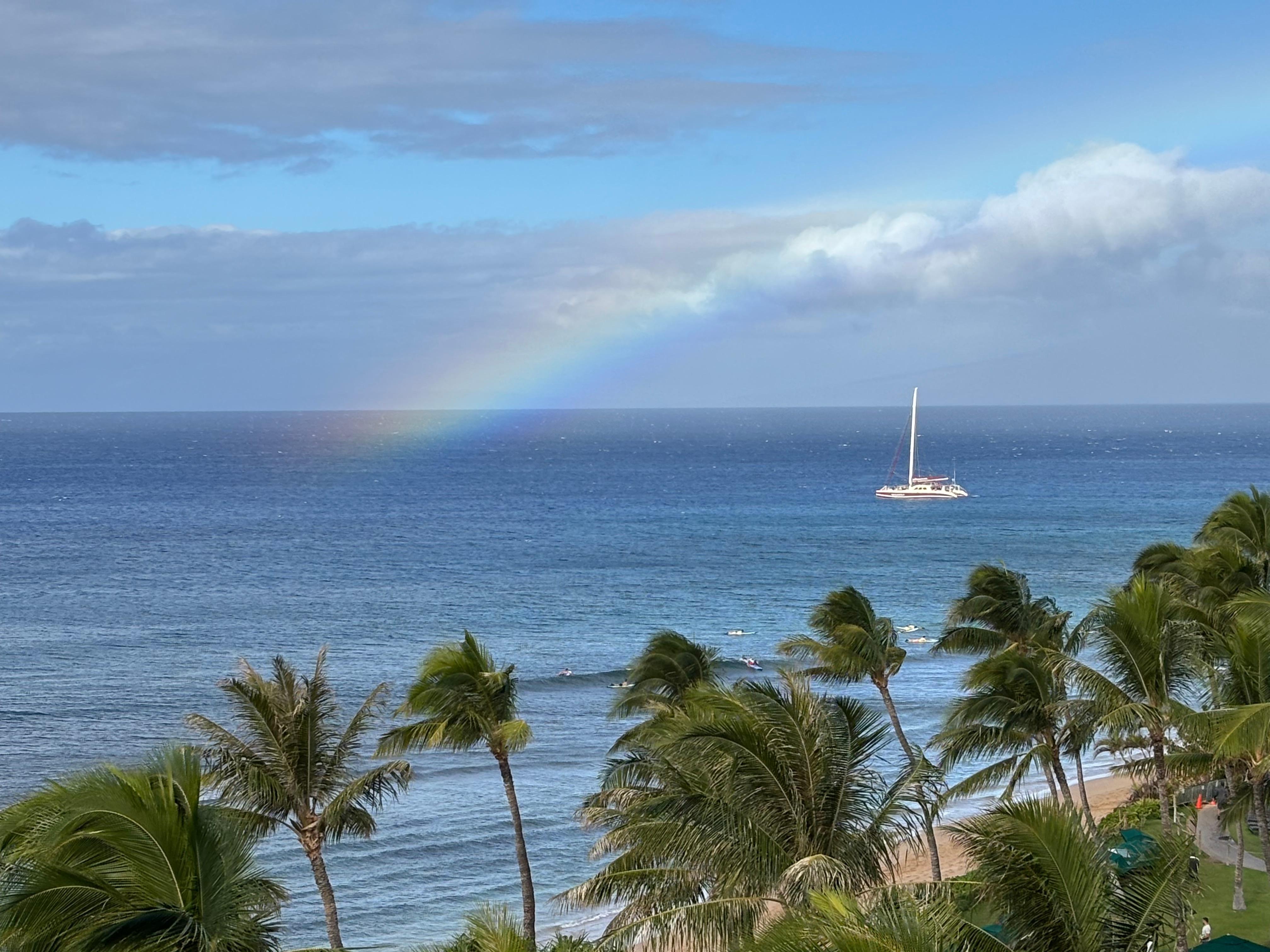 View from the lanai. 