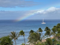 View from the lanai.
