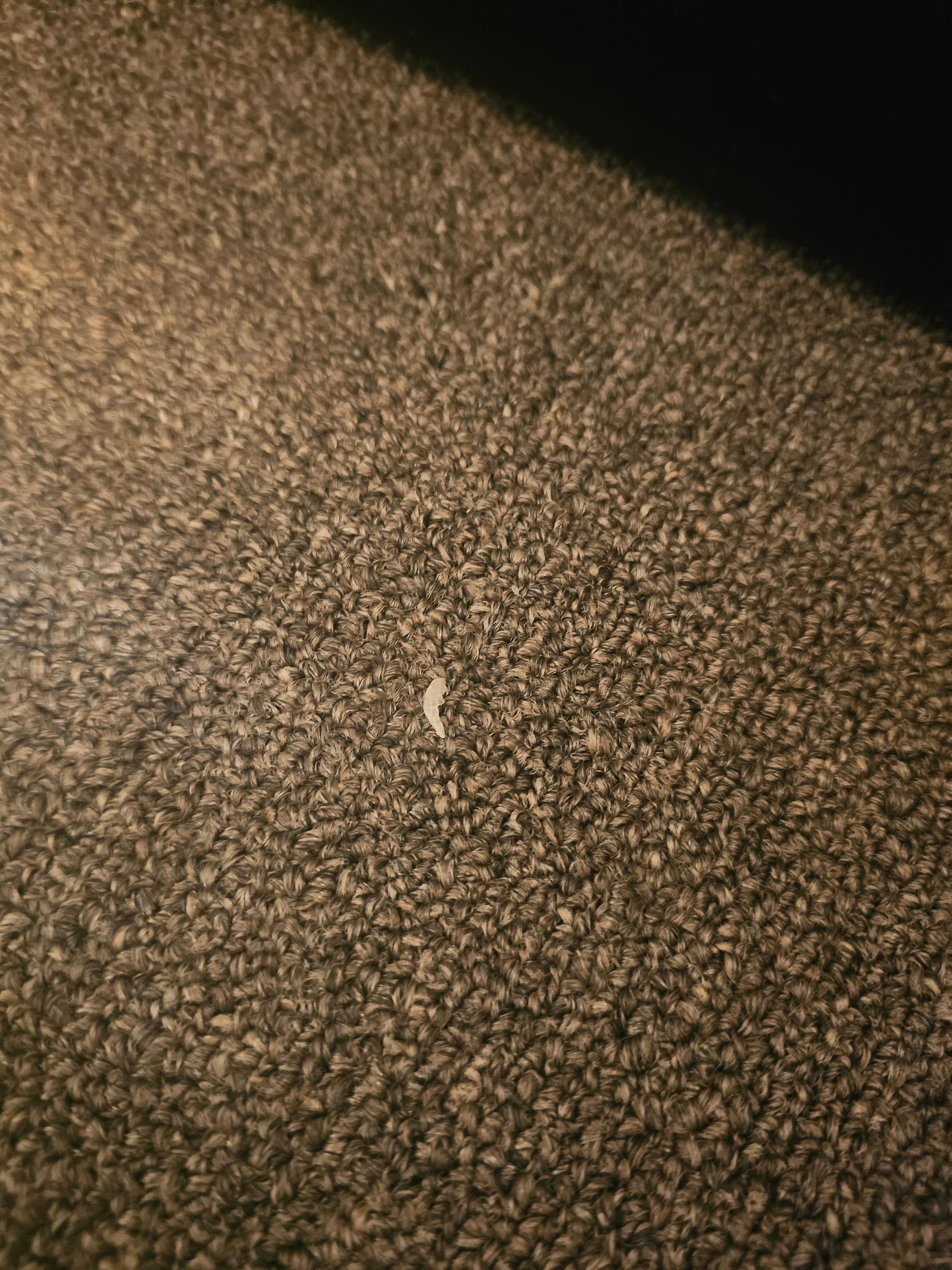 A toenail that was laying on the floor of the bedroom. I didn't even sleep in the room. I slept on the pullout couch because of this.