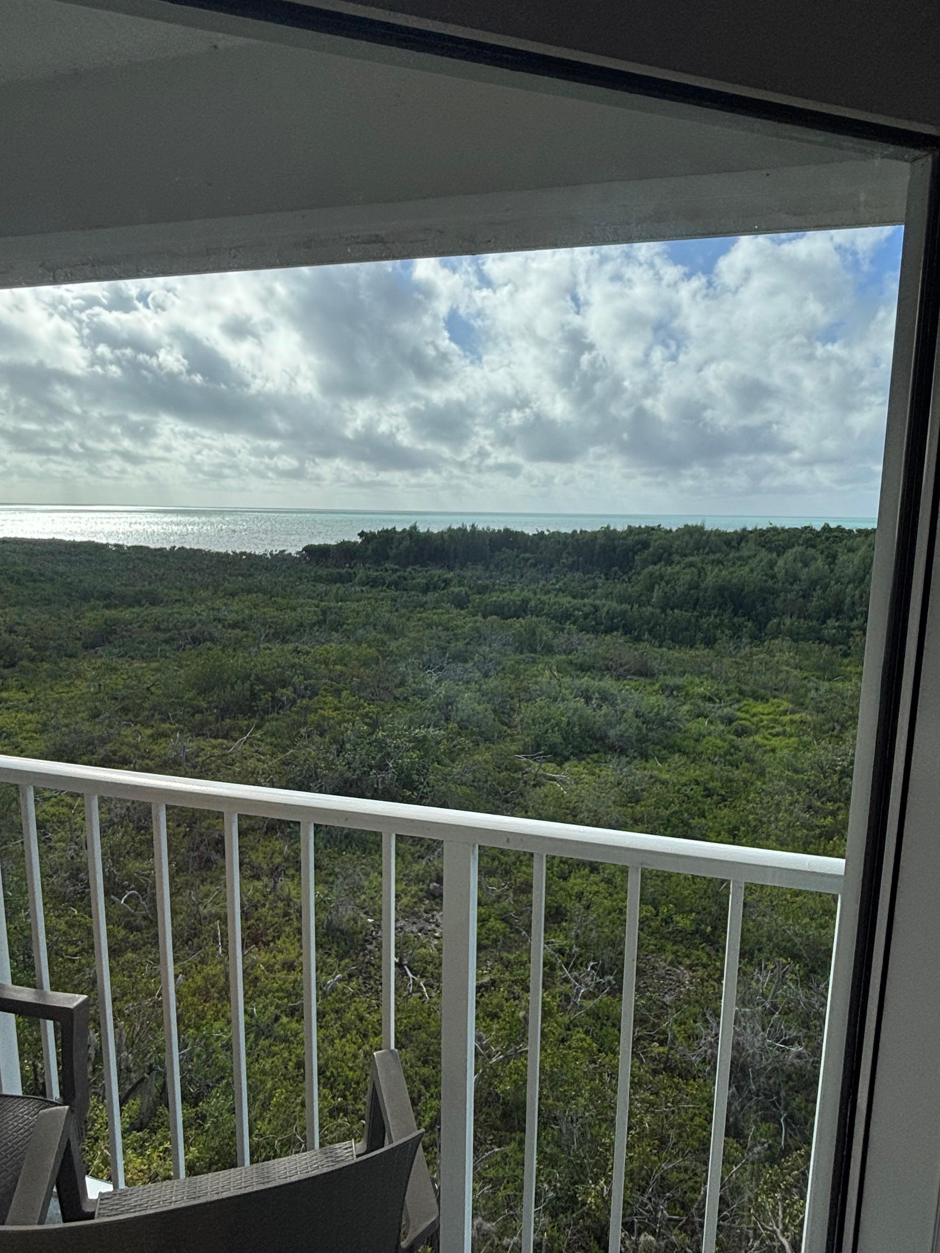 View from living room!