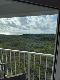 View from living room!