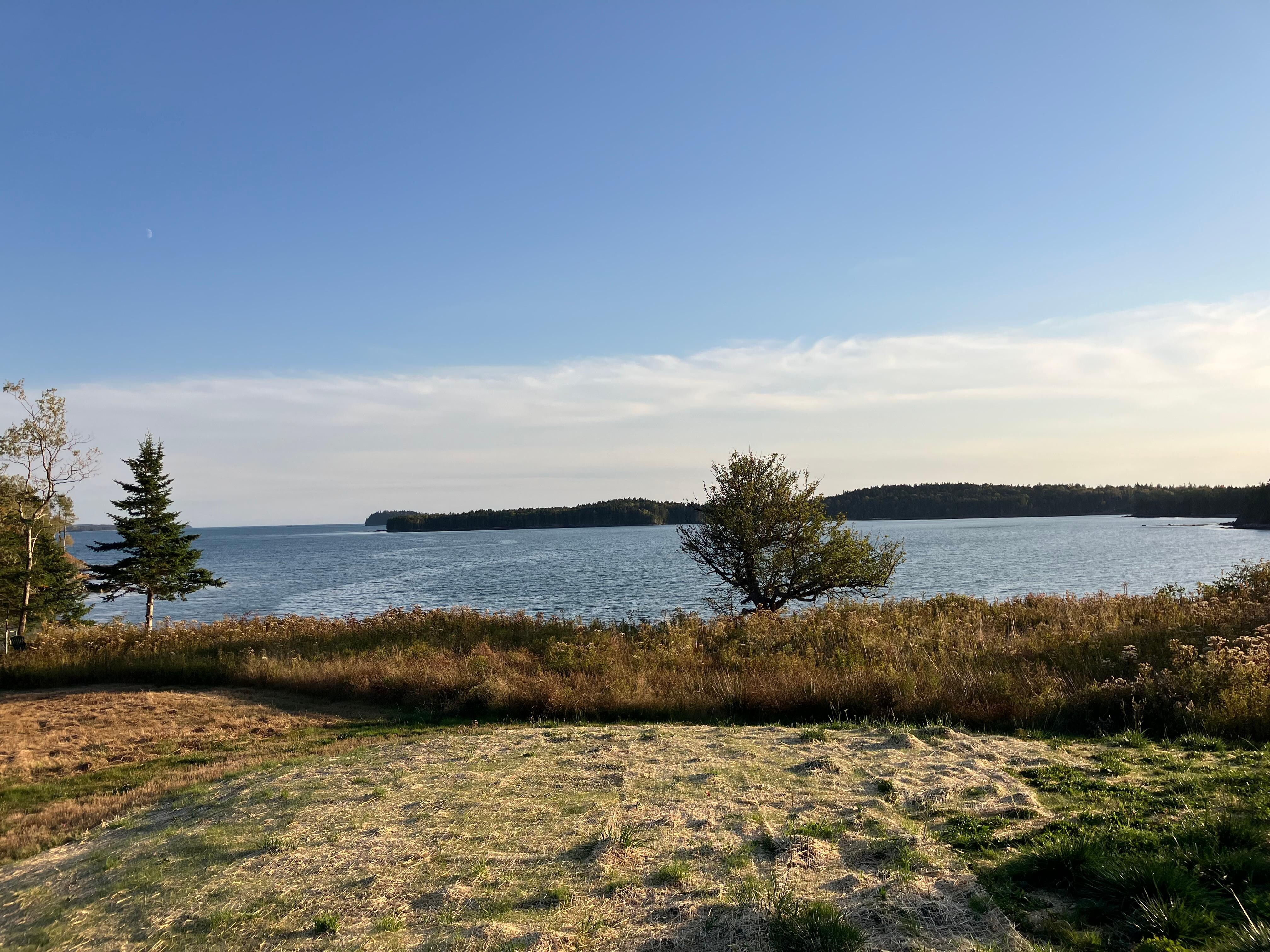 The view from the back deck