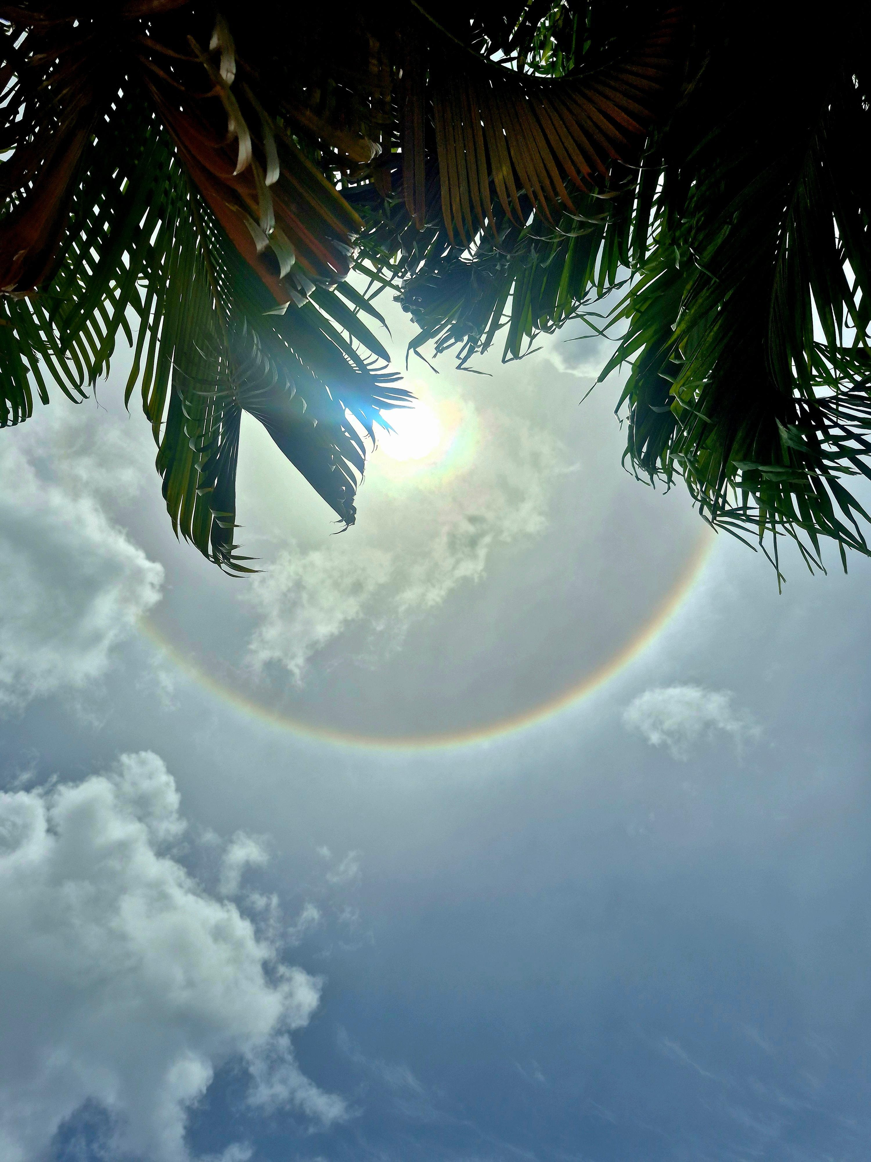 Rare solar halo