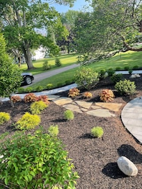 Back yard of the property
