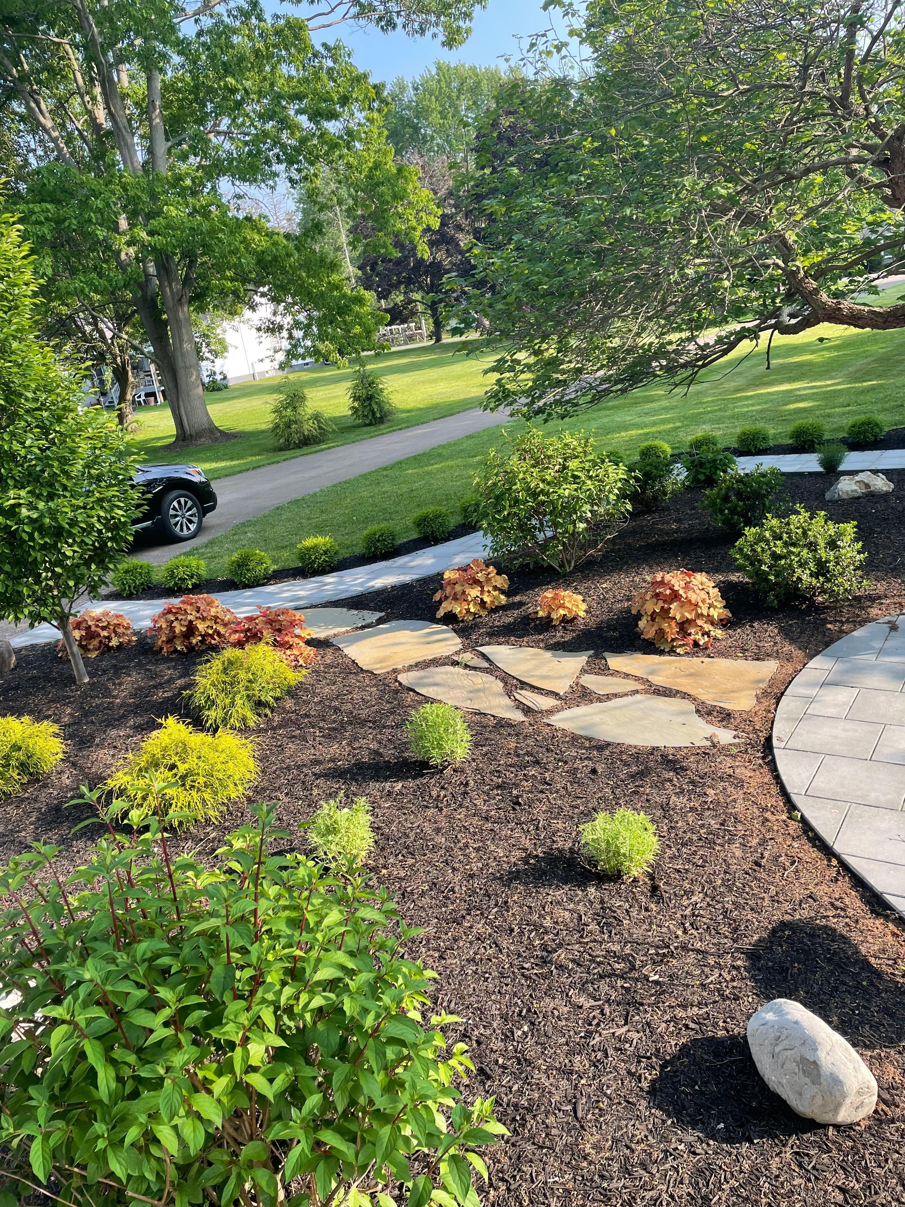 Back yard of the property 