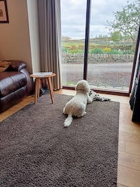 Becky loved waiting for the chickens to appear.