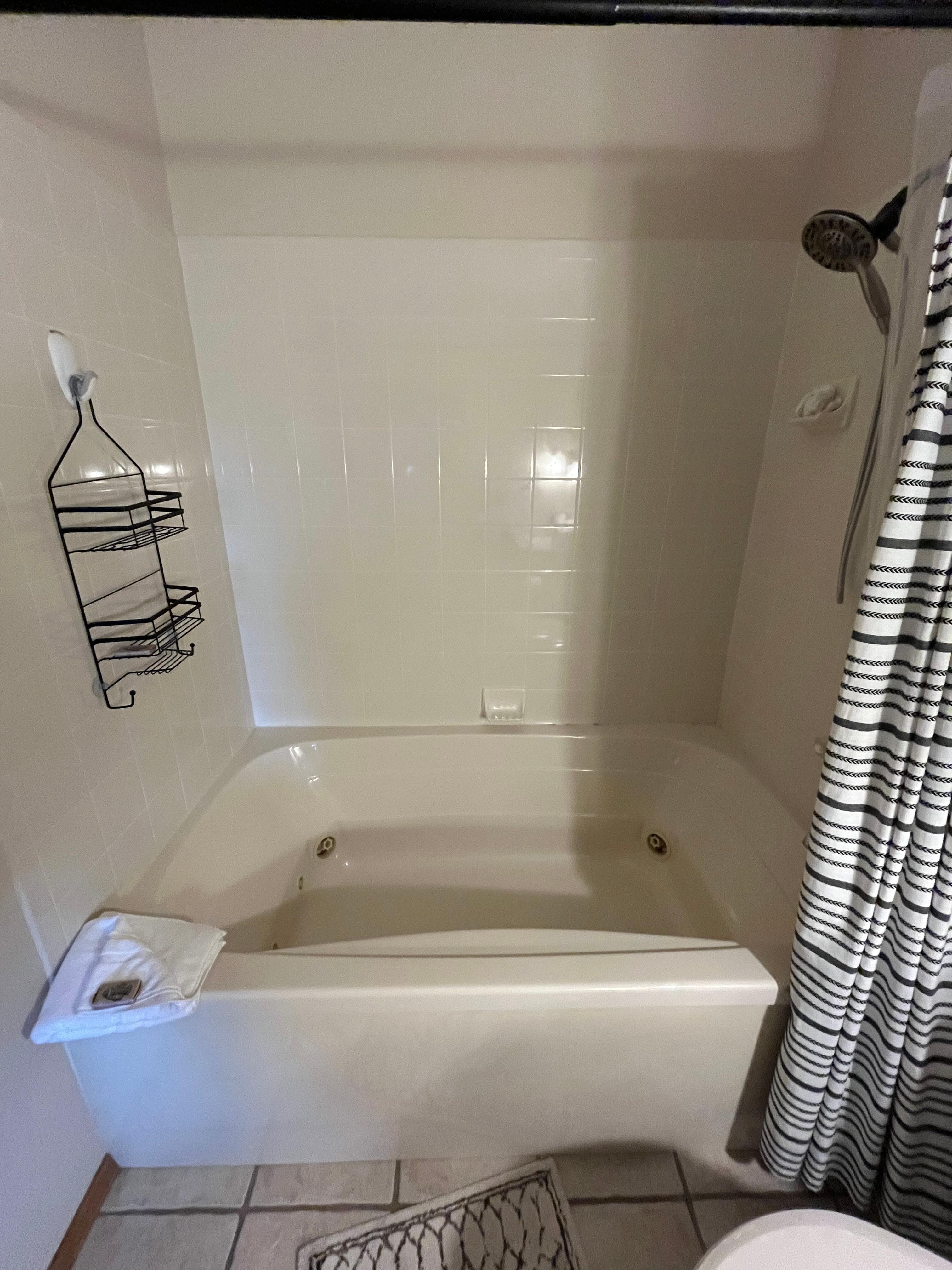 Master bathtub