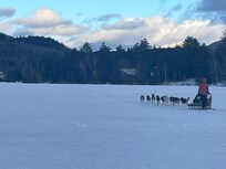 Dog sled rides