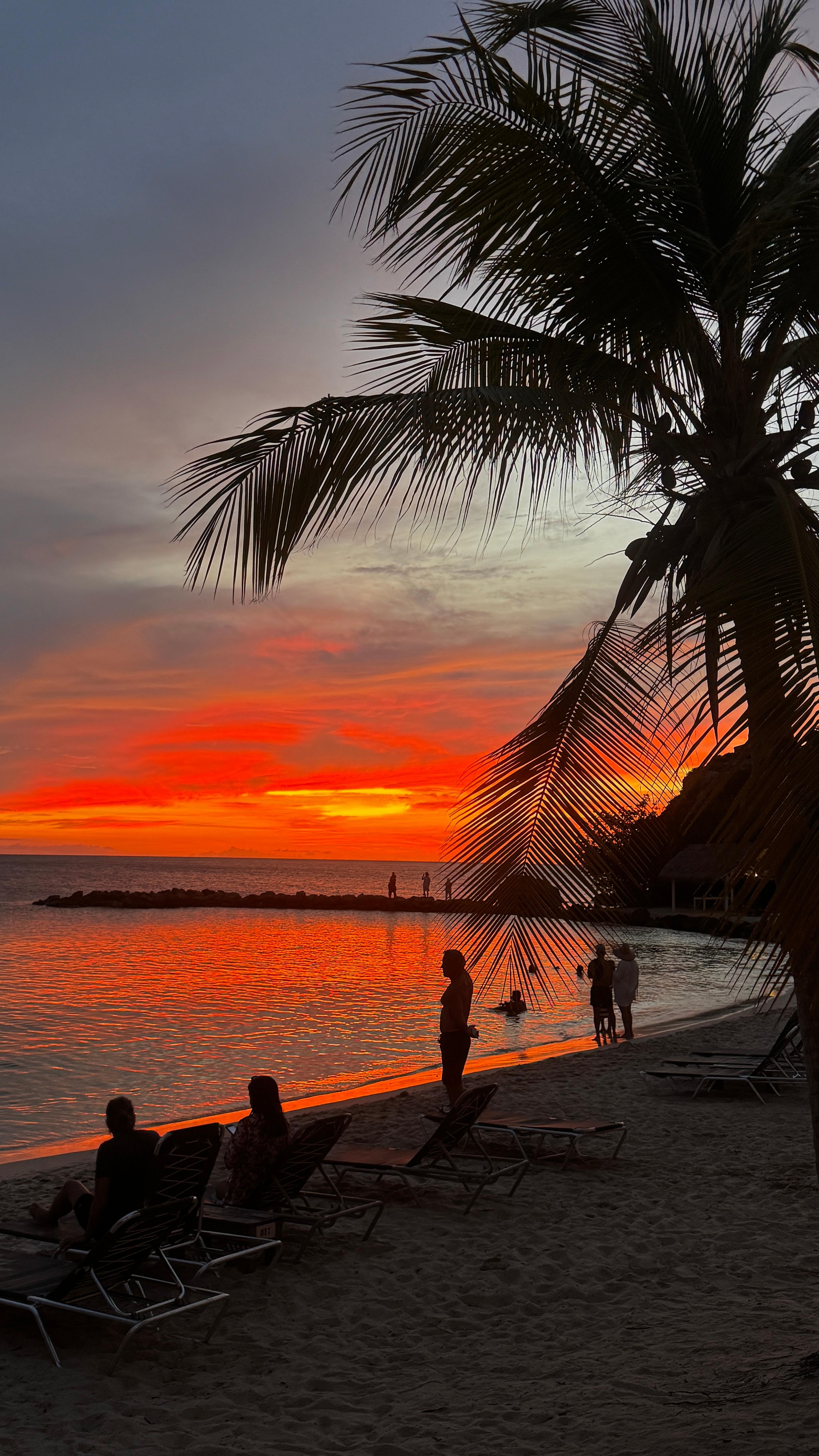 Beautiful beach sunsets