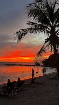 Beautiful beach sunsets