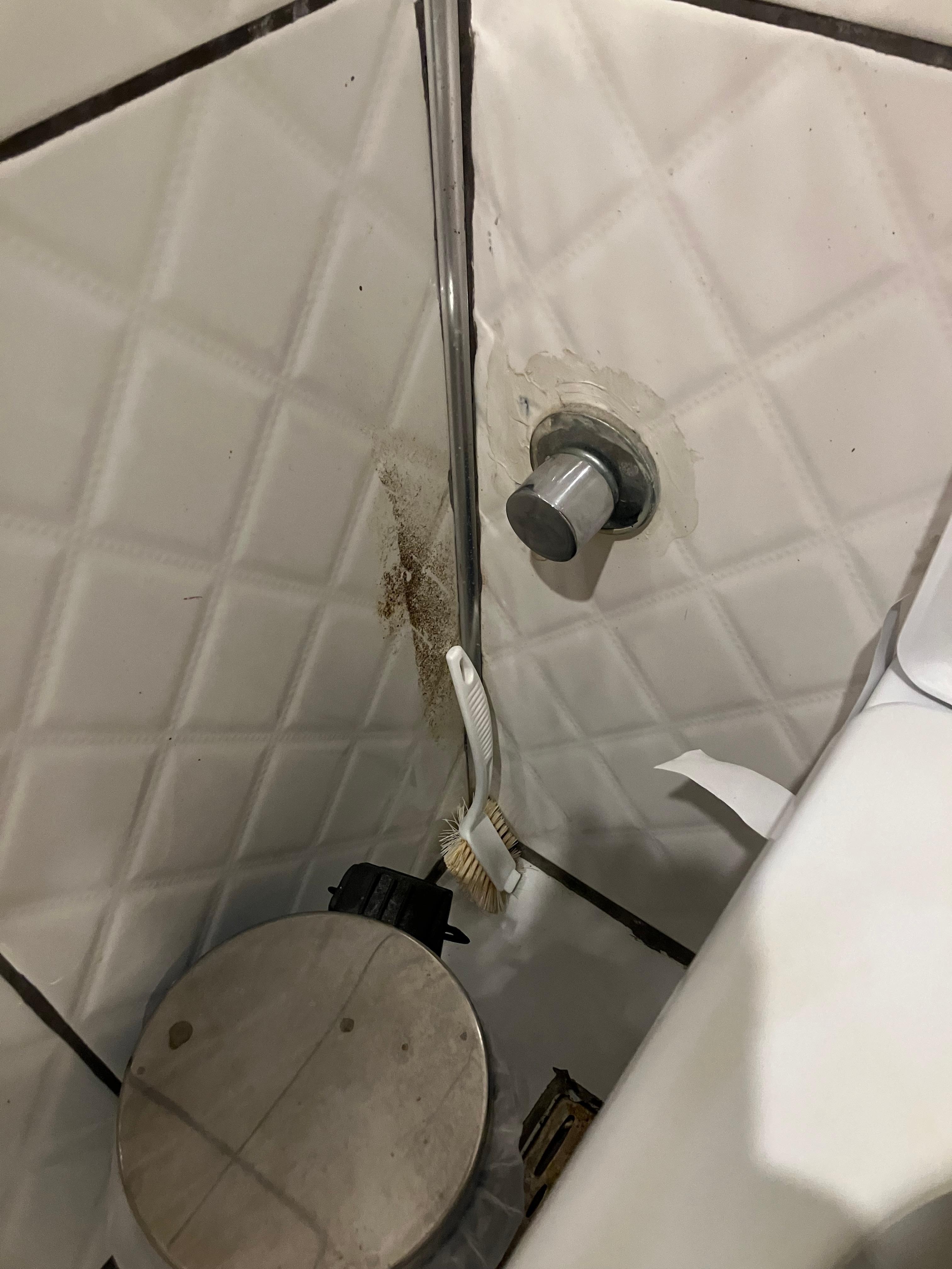 Bemærk “toilet” børsten og den ulækre væg