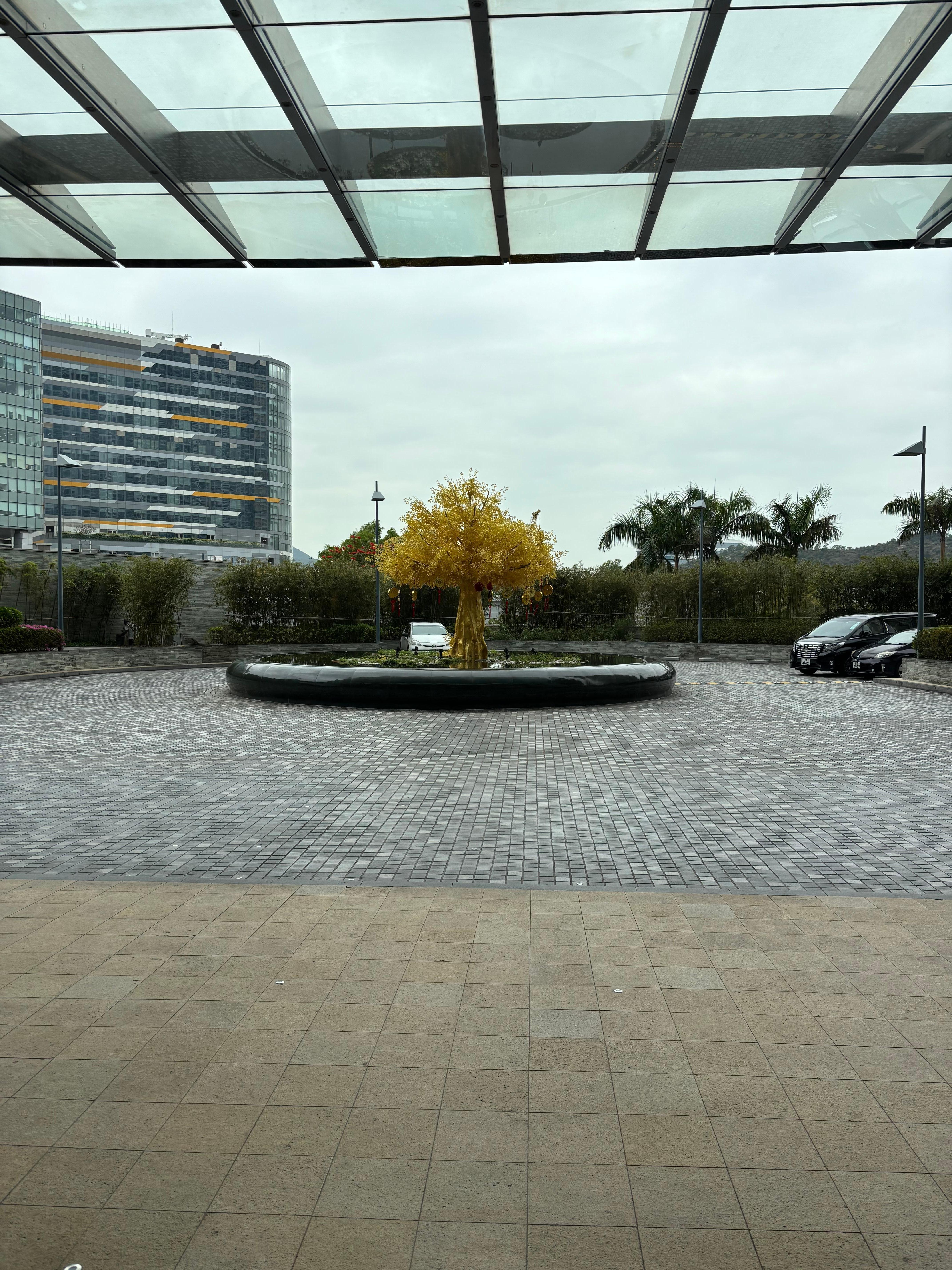 View from the 11th floor 