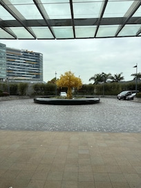 View from the 11th floor