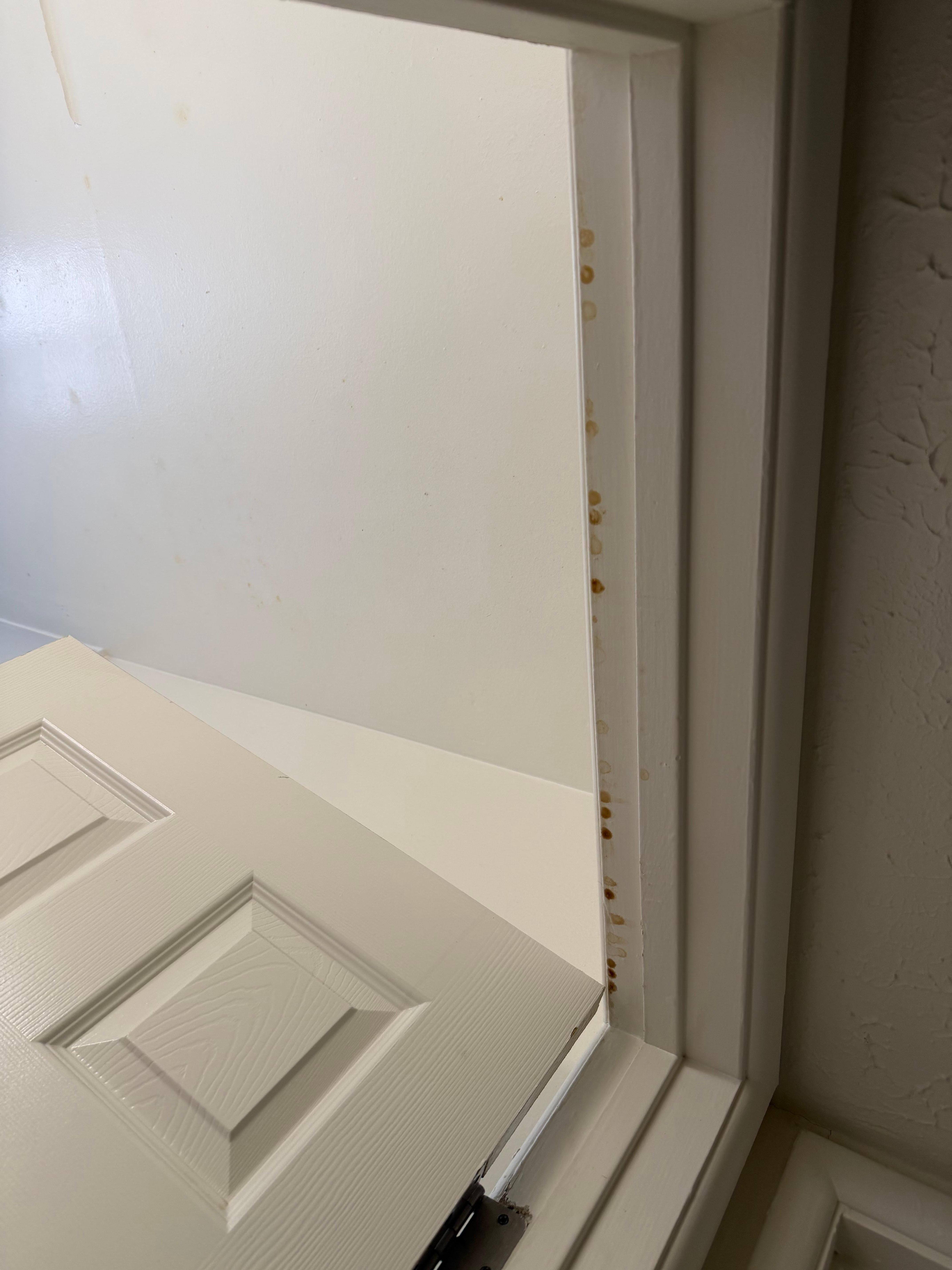 Mold all over bathroom door frame. I should have taken a pic of the other bathroom.