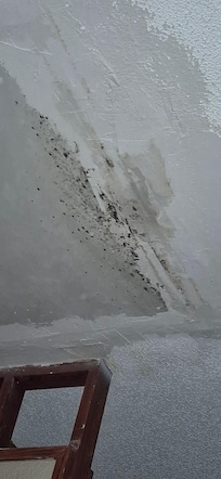Closer shot of mold