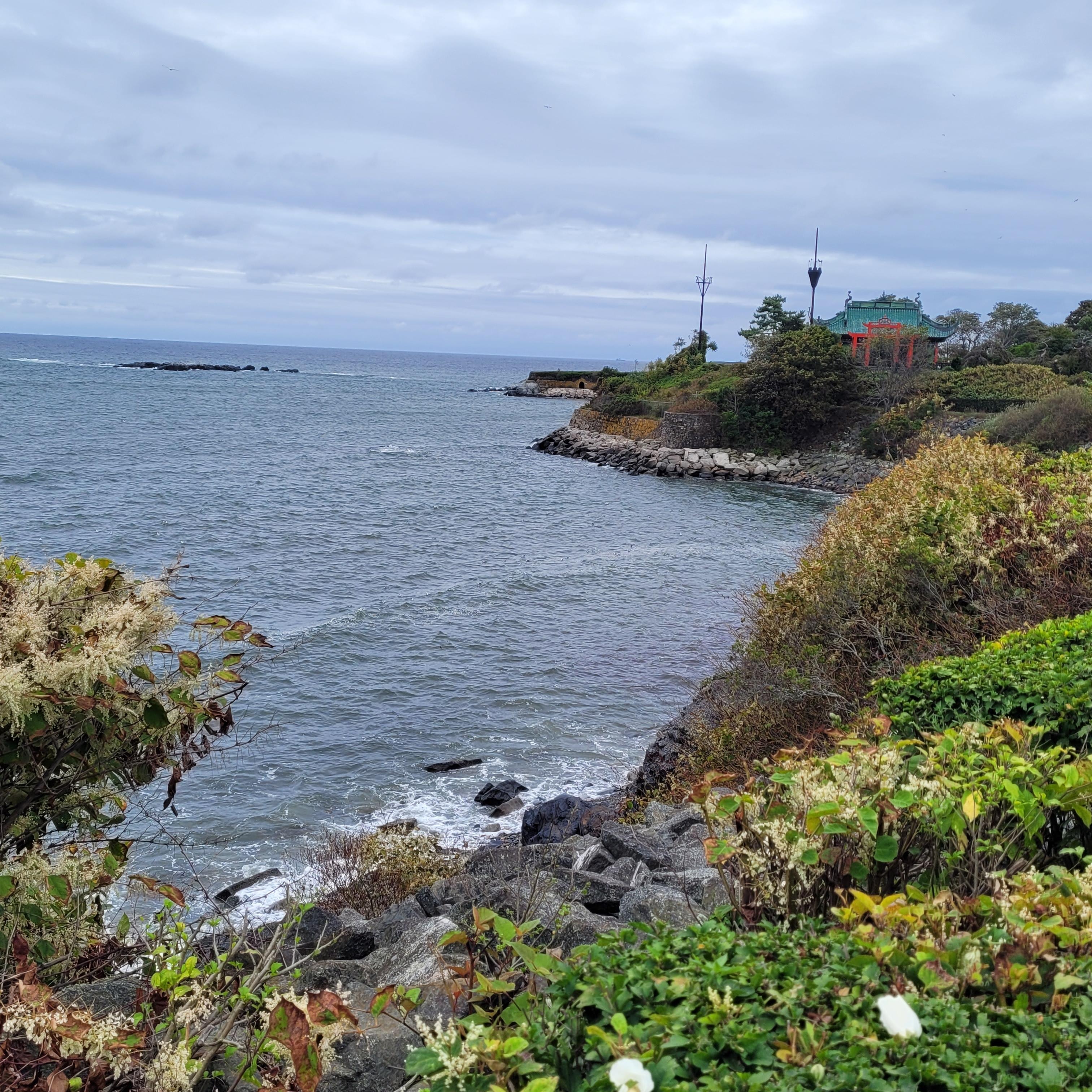 Cliff walk - Newport
