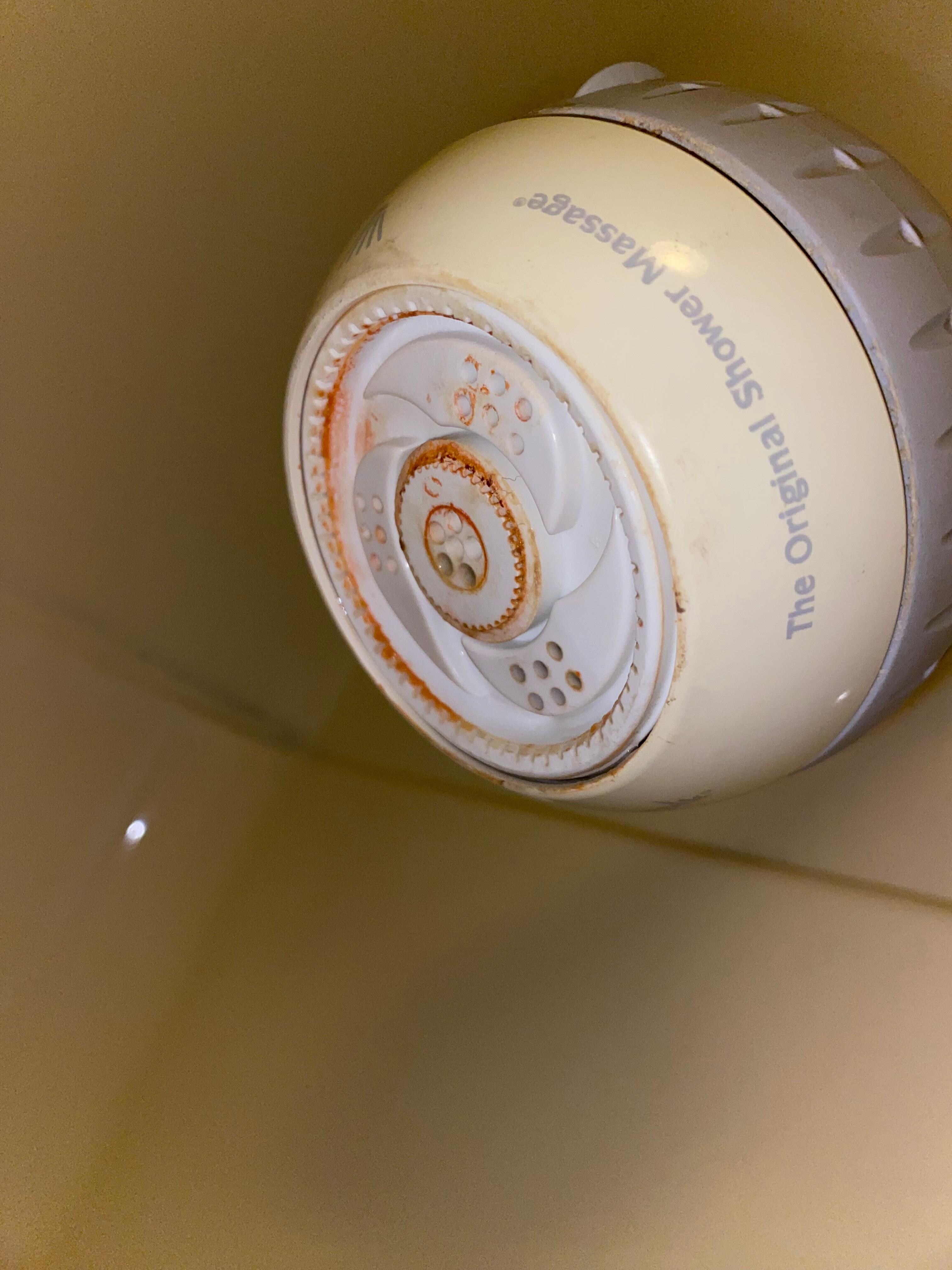 what is this?! i felt like i couldn’t take an actual shower