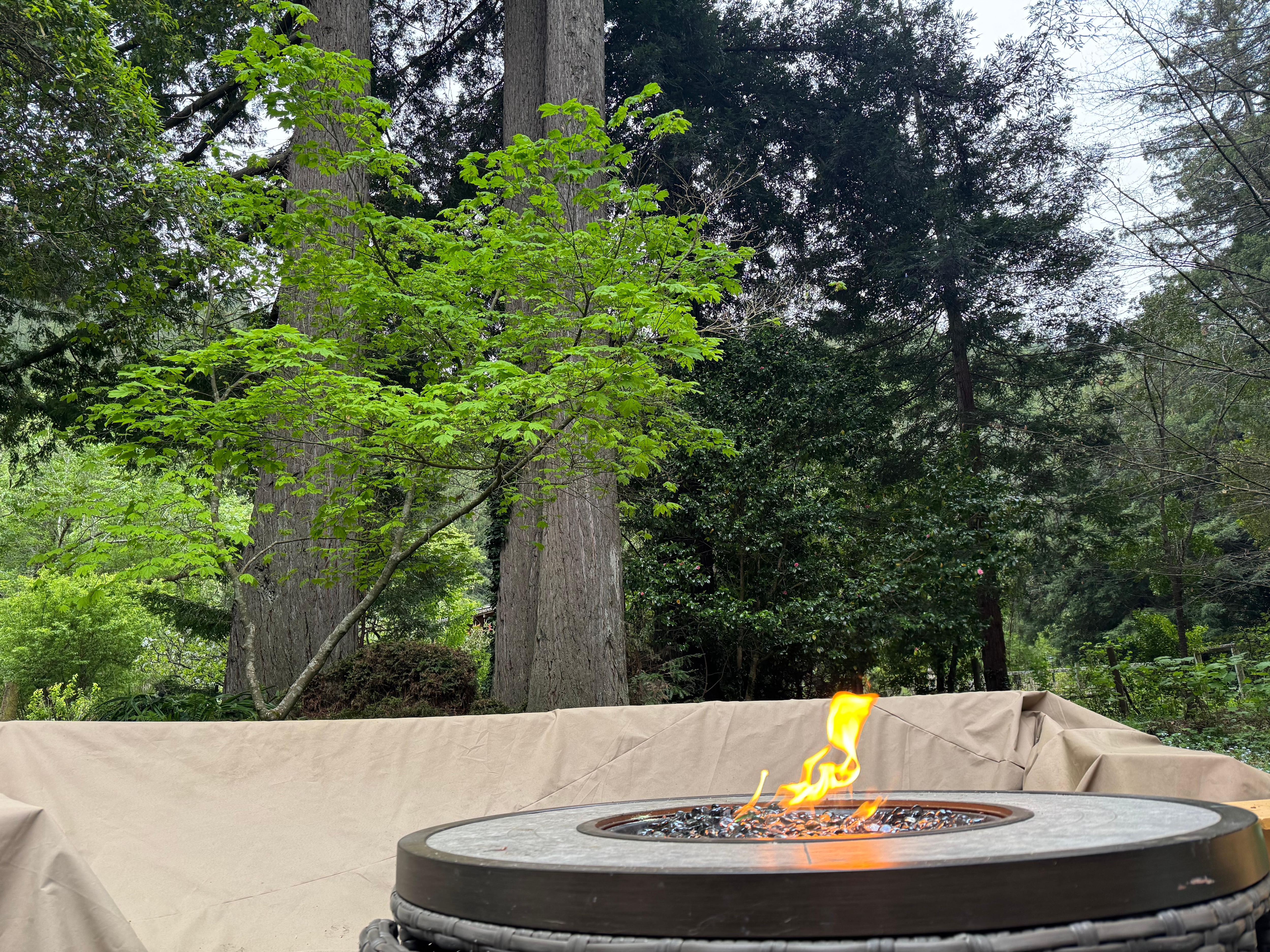 One of the outdoor fire pits. 