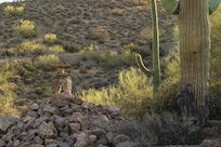 Stone Stacking