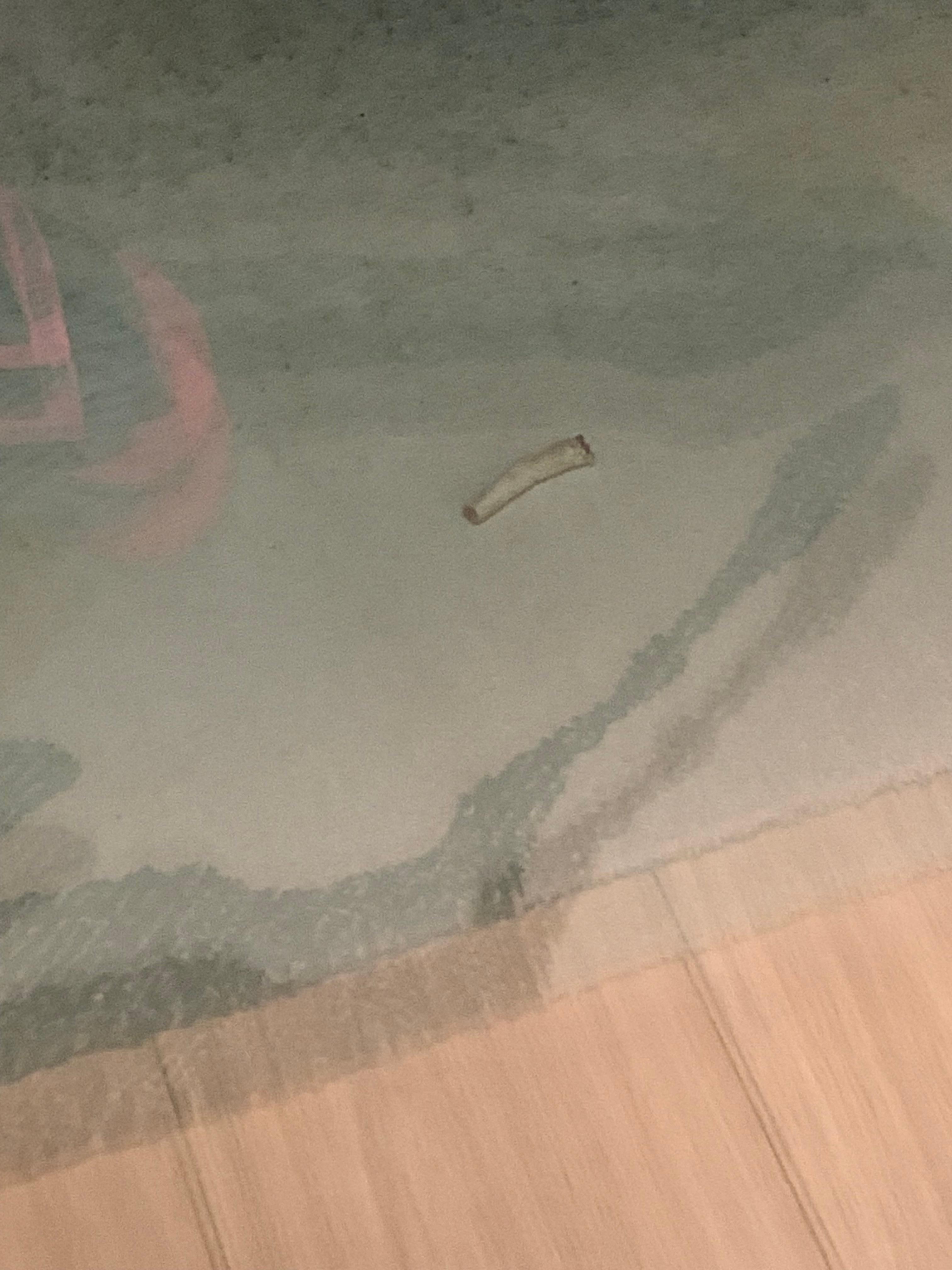 2nd Cigarette butt outside window 