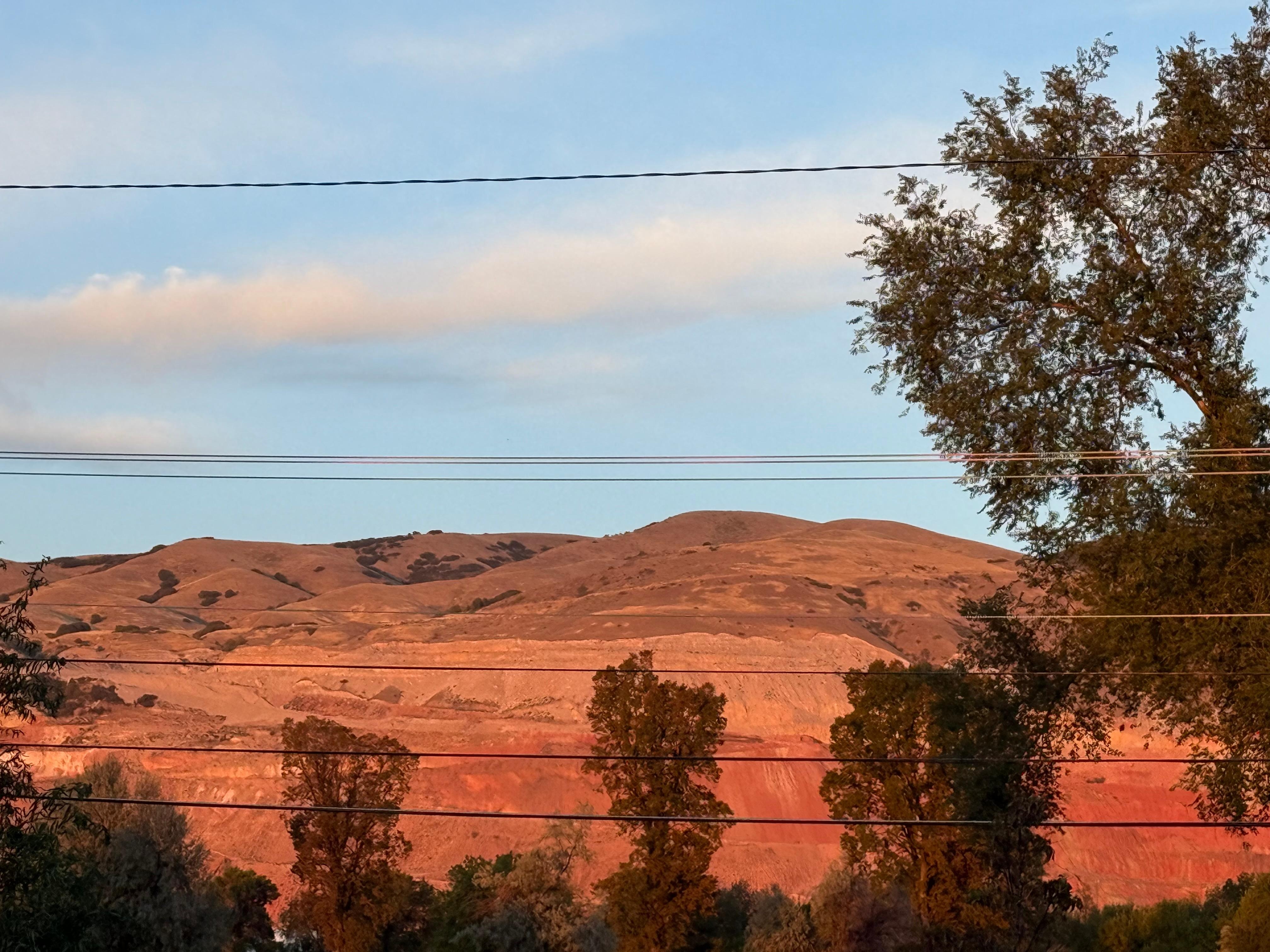 From the back door in the evening! 