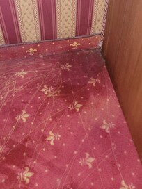 Damp carpet, causing underfloor to swell making it difficult to open/close the entry/exit door.