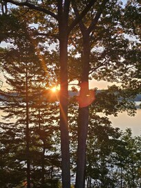 View from the deck