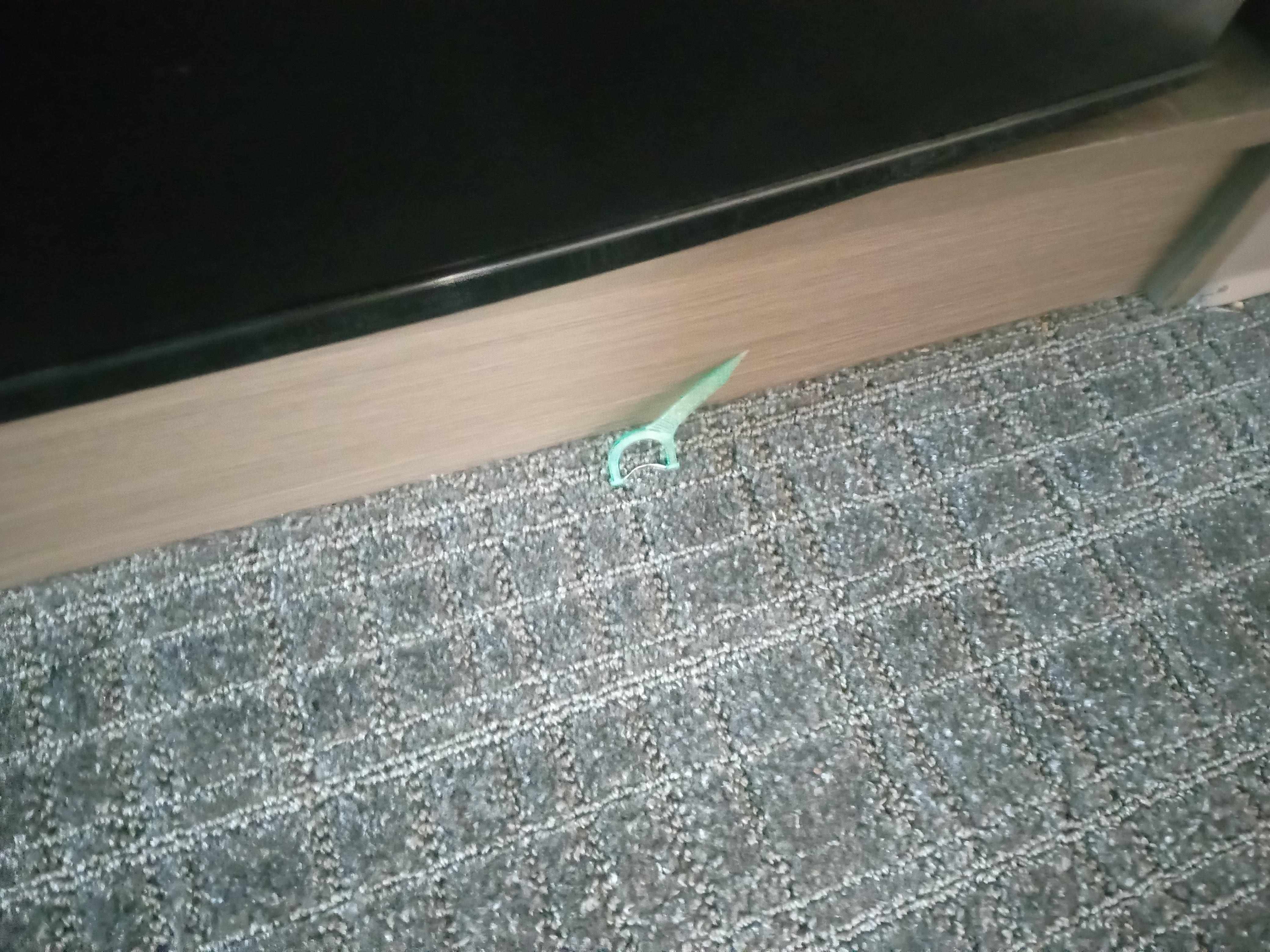 Floss pick on carpet. Carpet appears to not have been vacuumed in some time. Questionable whether sheets were replaced