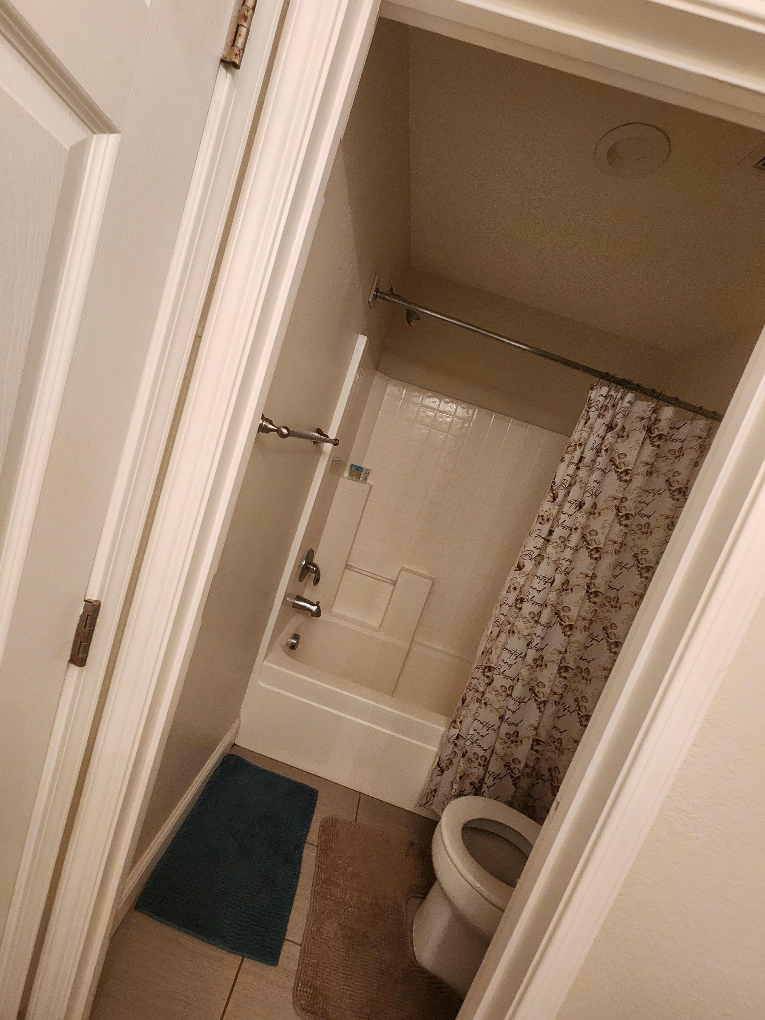 Shower in hallway bathroom