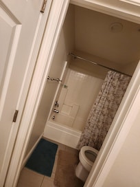 Shower in hallway bathroom