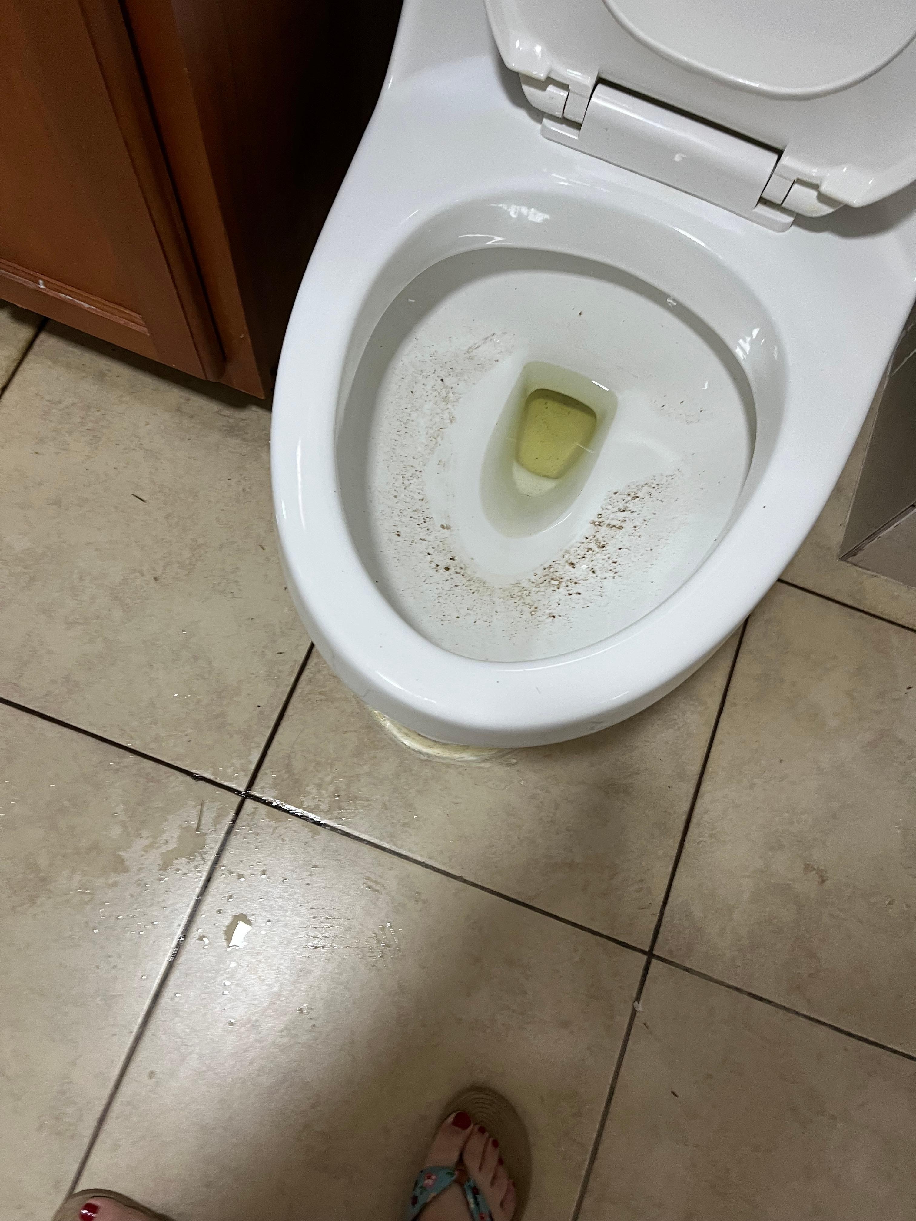 Baño tapado, el agua no se iba y olía terrible y con una cubeta se tubo que colocarle agua...para poder dormir porque se rebalso la tasa del inodoro.