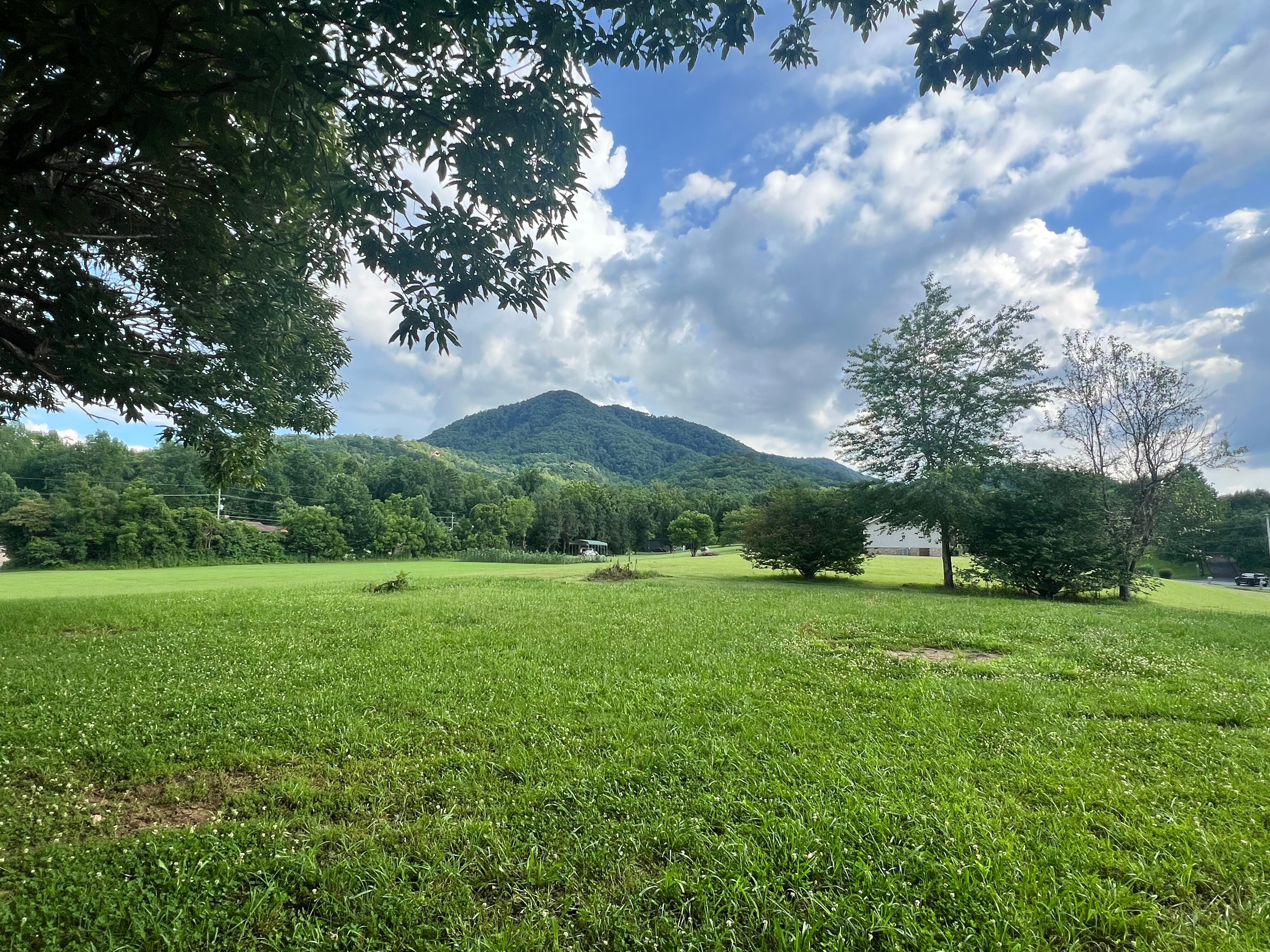 View from the yard 