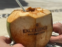 All types of extra fun stuff. Also pizza oven for mini pizzas near swim up bar