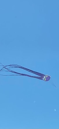 We flew the octopus kite
View from the house