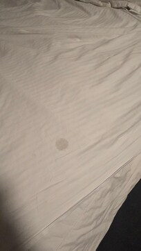 Dirty blanket