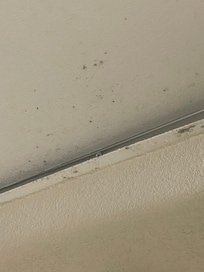 Ceiling in bathroom