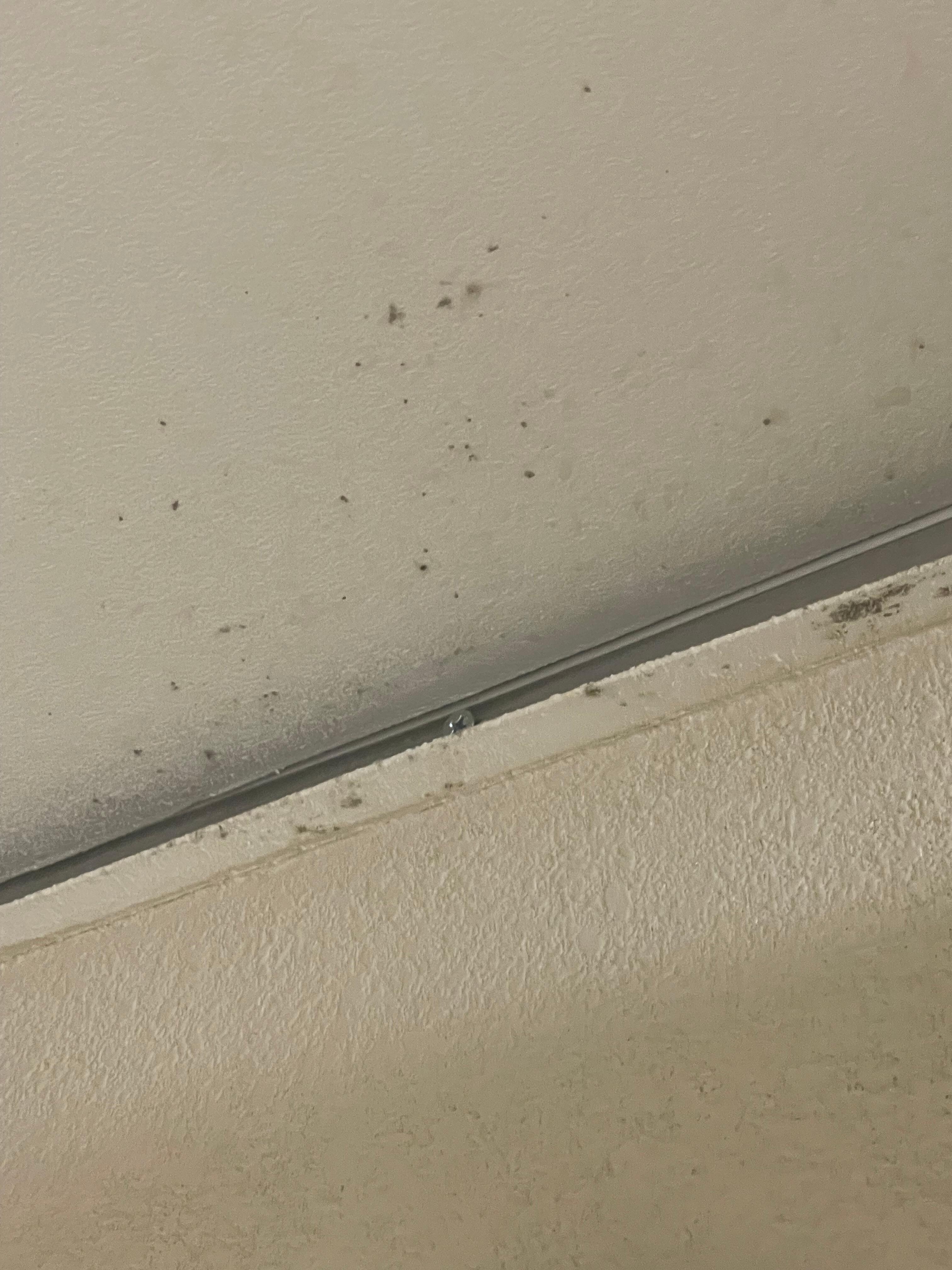 Ceiling in bathroom 